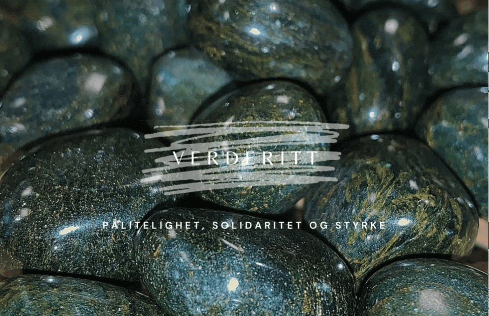 Hovedbilde Verderitt