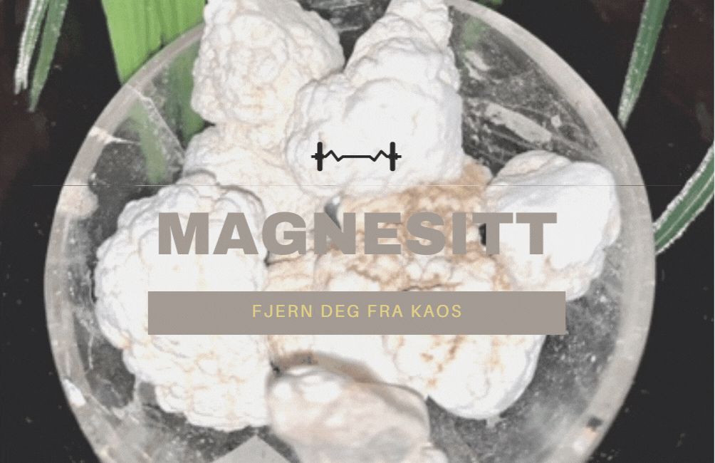 Armbånd Magnesitt & Obsidian Sort 8mm