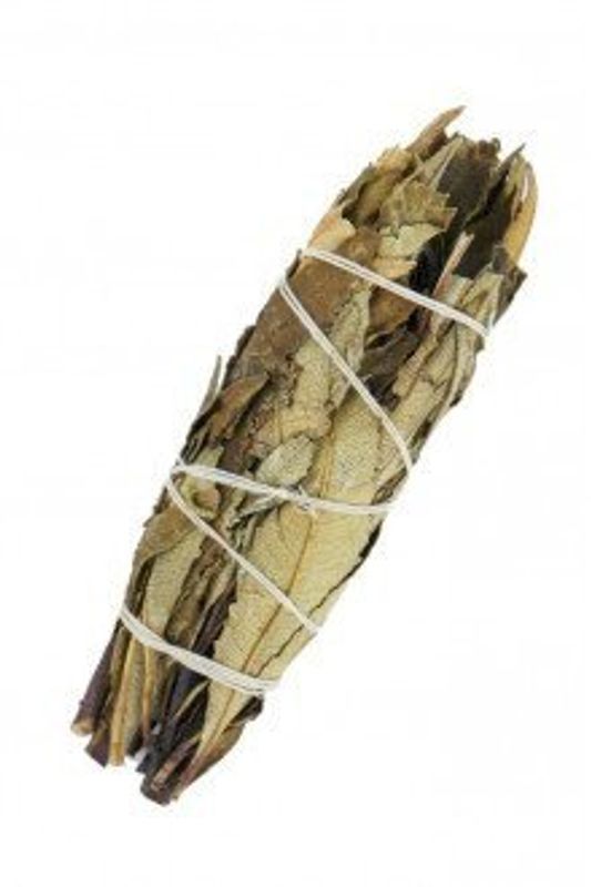 Yerba Santa Salvie 10cm