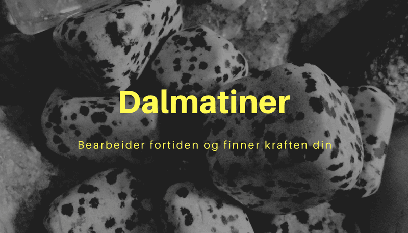 Dalmatiner Dobbel Pointed Anheng