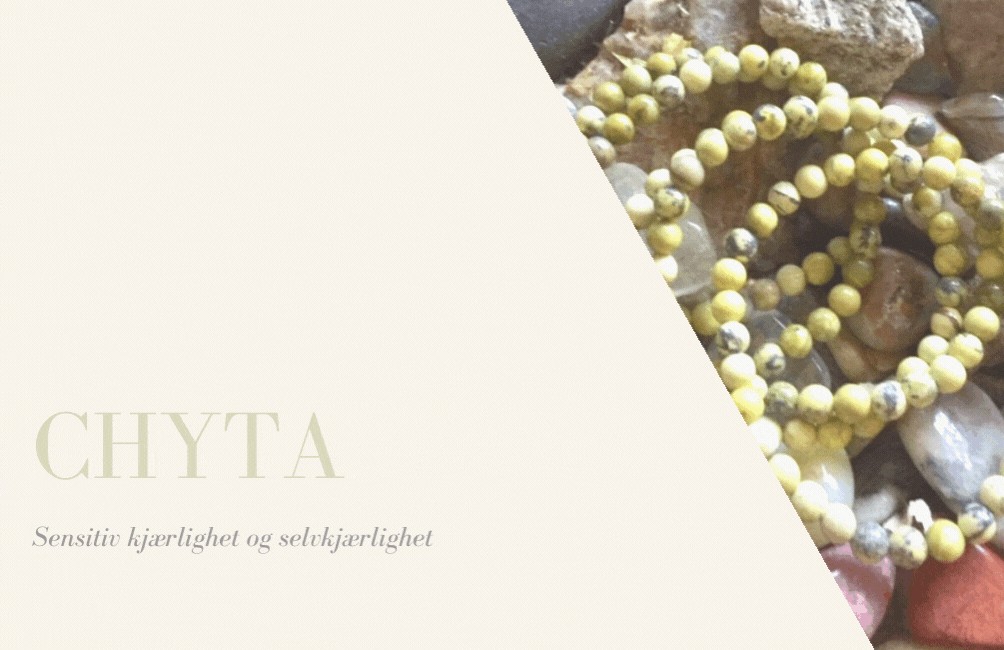 Chyta 