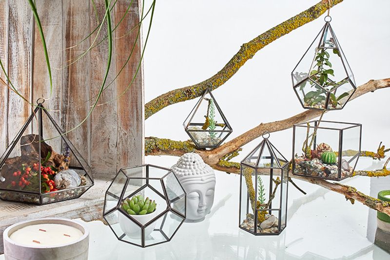 Terrarium Diamant Liten