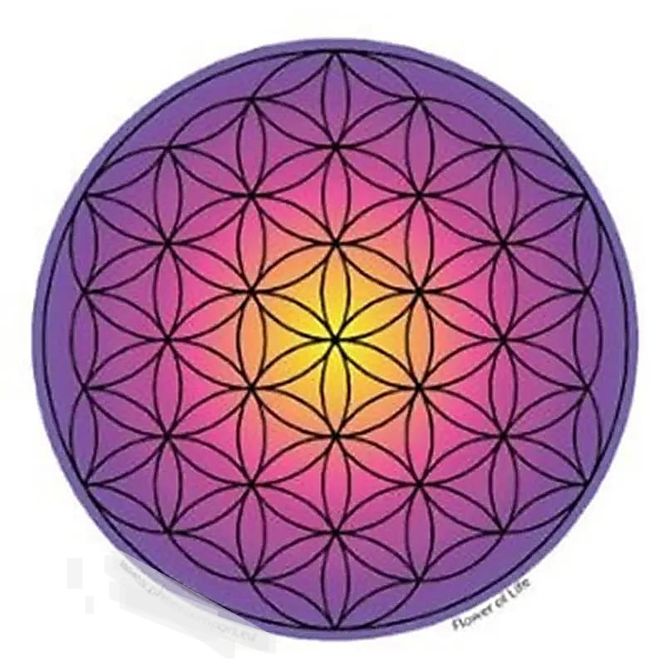 Hovedbilde Flower of Life Lilla Sticker