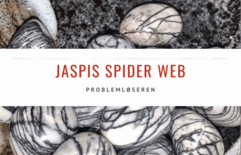 Hovedbilde Jaspis Spider Web