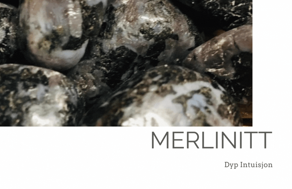 Hovedbilde Stav Anheng Merlinitt