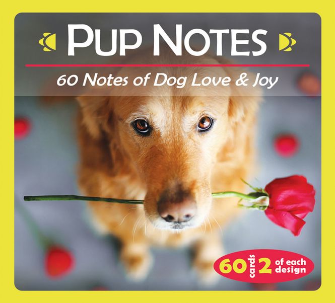Hovedbilde Pup Notes
