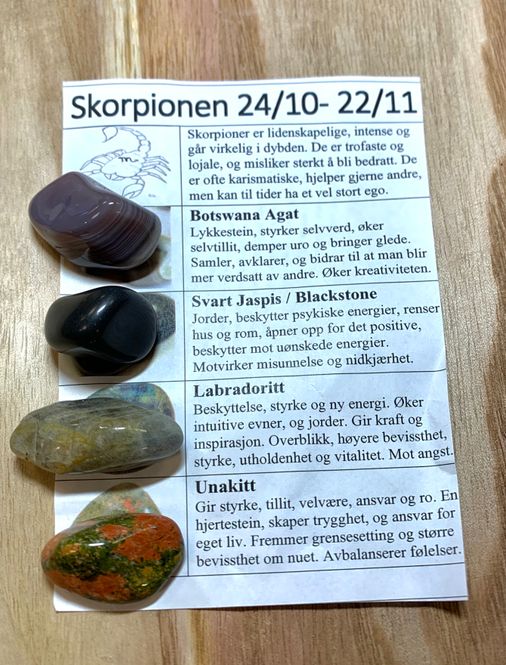 Hovedbilde Skorpionen Stenene