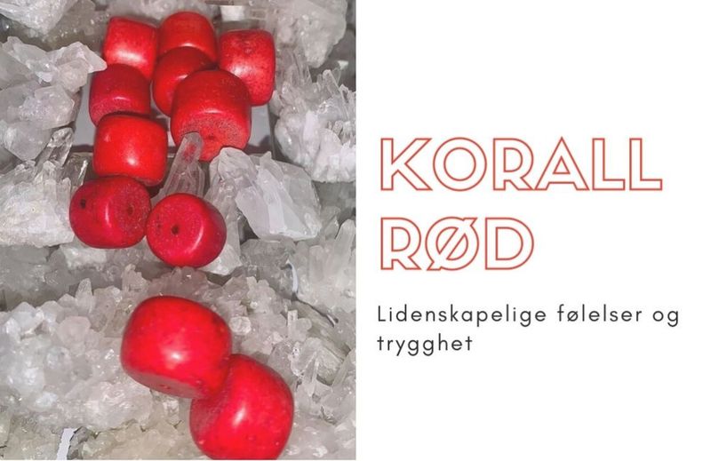 Armbånd Rød Korall Farget 5mm
