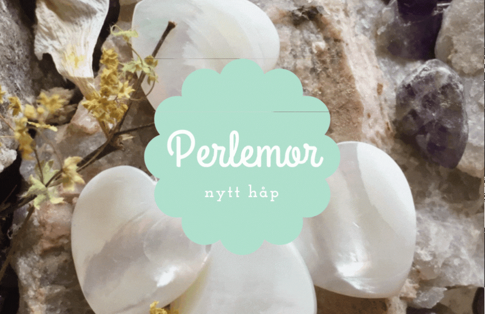 Armbånd Perlemor 6mm