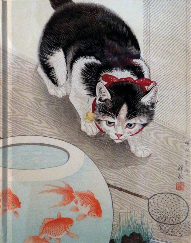 Ulinjert Skrivebok - Koson
