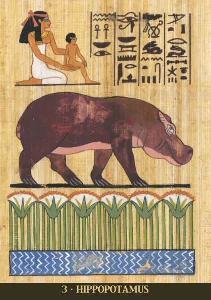 Hovedbilde Egyptian Sacred Animals ...