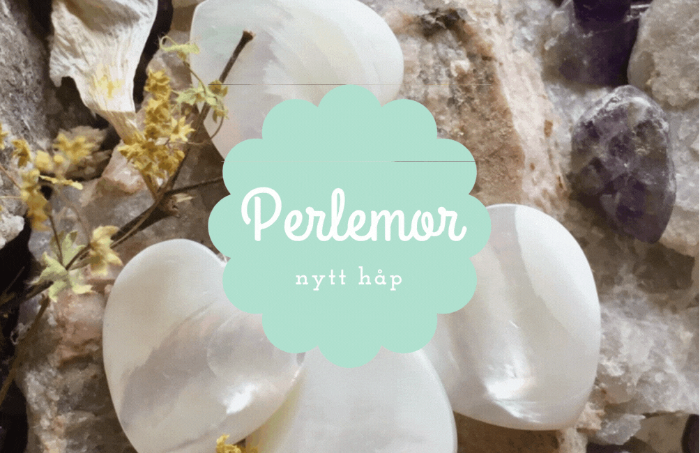 Perlemor Chips Armbånd