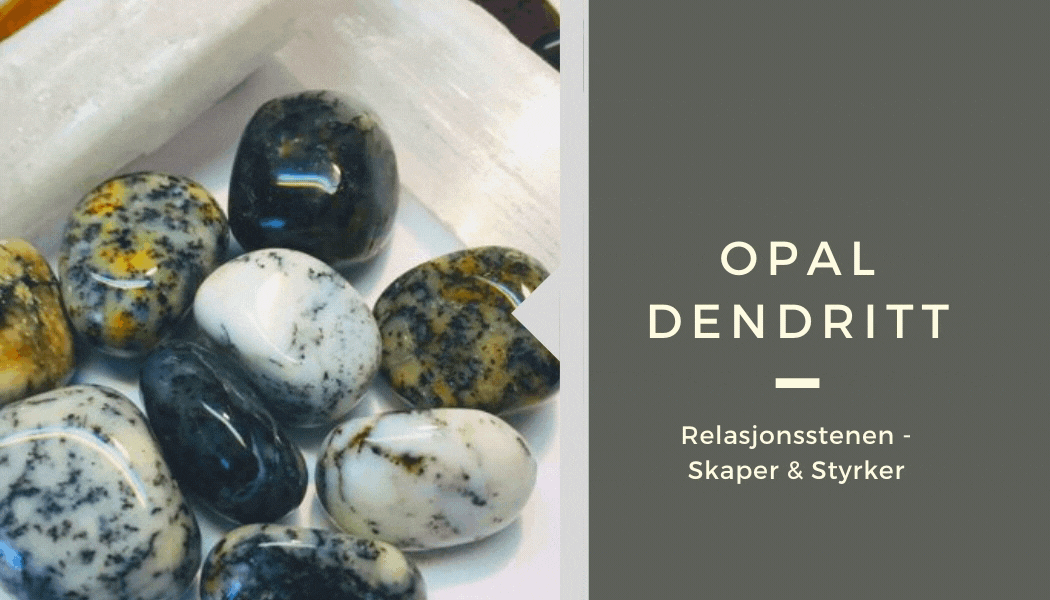 Hovedbilde Opal Dendritt 8mm Armbånd