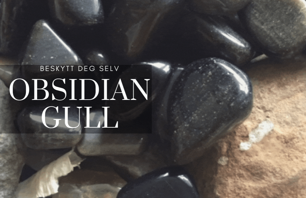 Obsidian Gull