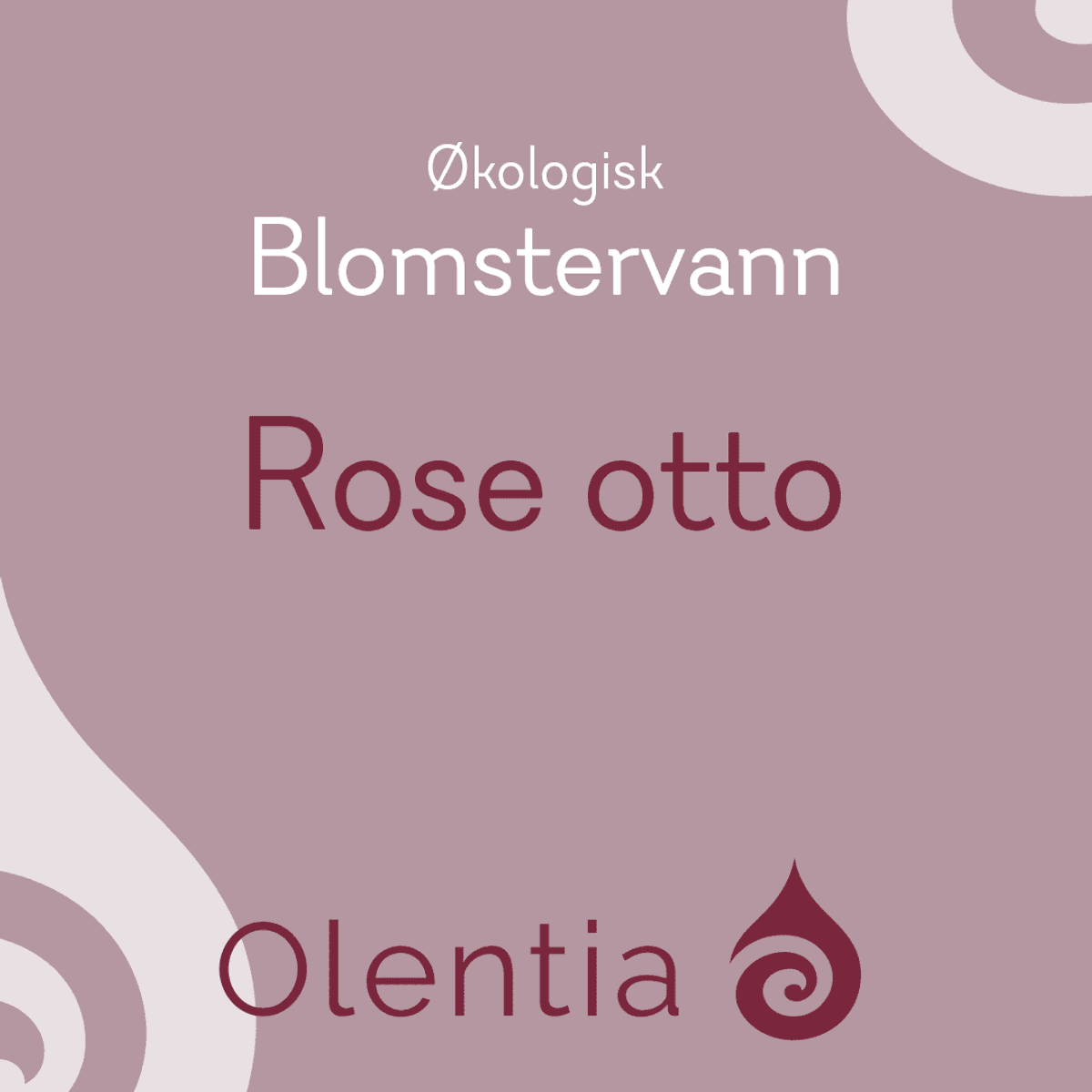 Rose 100ml Blomstervann – Økologisk - Olentia Aroma