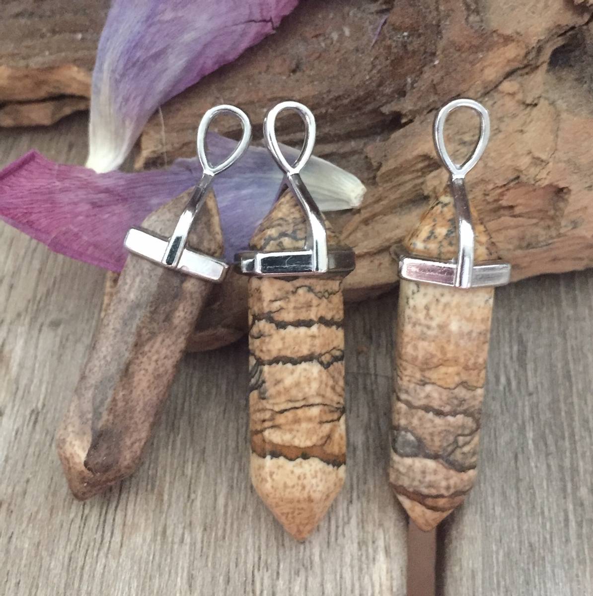 Jaspis Landskap Dobbel Pointed Anheng