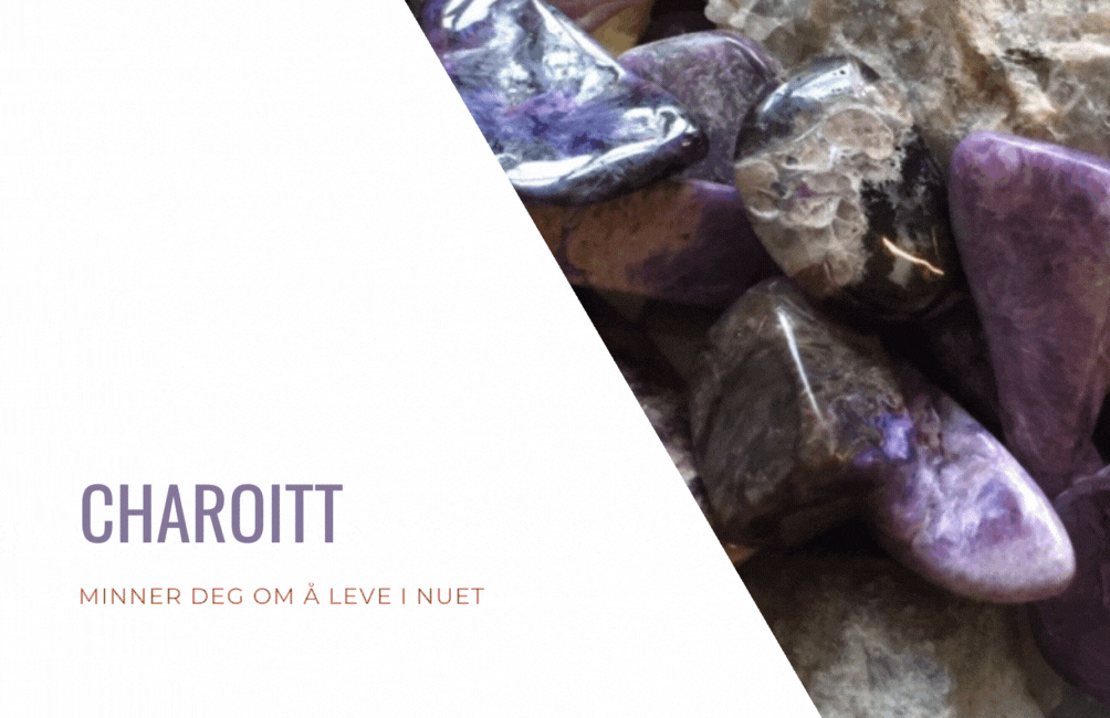 Armbånd Charoitt Chips