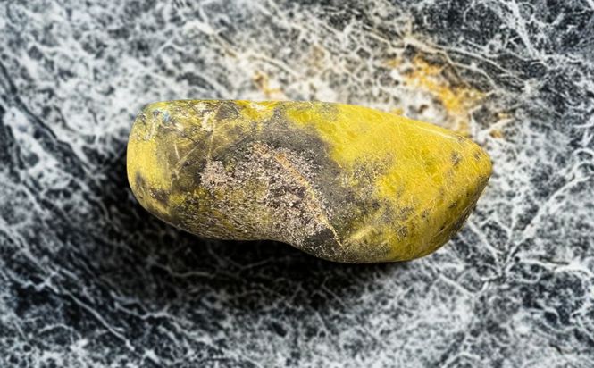 Hovedbilde Lizarditt Norsk Jade Jumbo ...